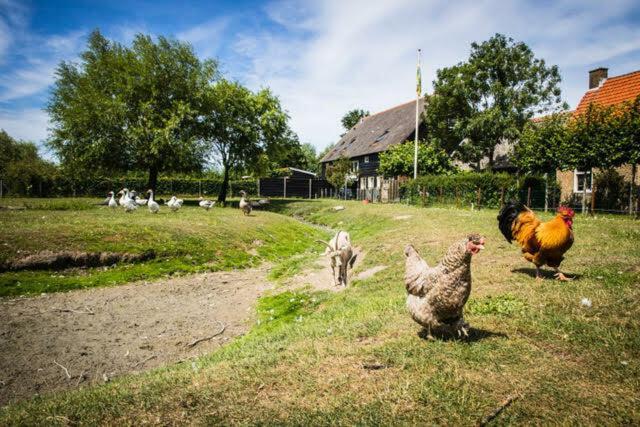 Vakantiewoning - Kon. Emmaweg 26 | Vrouwenpolder 'Uitspanning Oranjezon' 외부 사진