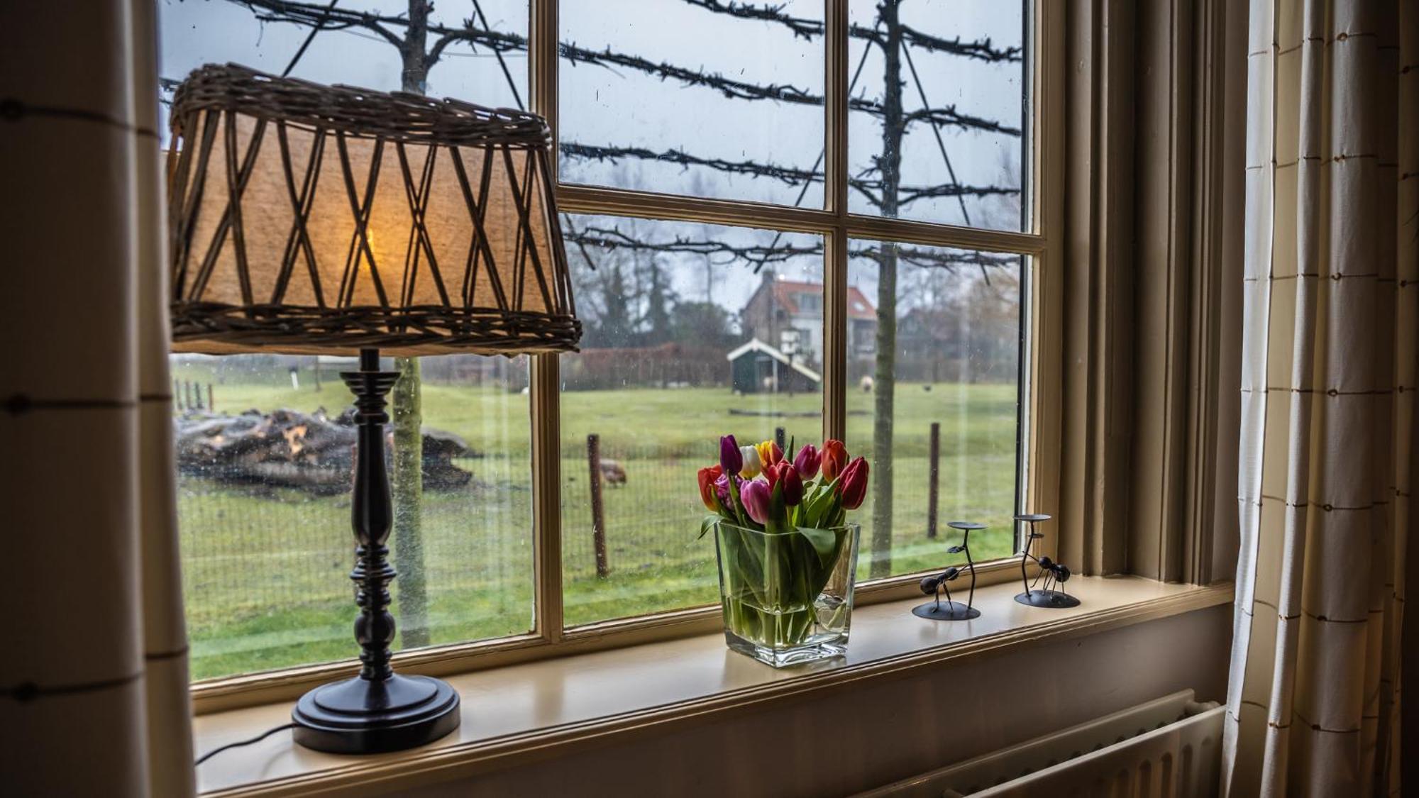 Vakantiewoning - Kon. Emmaweg 26 | Vrouwenpolder 'Uitspanning Oranjezon' 외부 사진